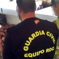 La Guardia Civil desactiva un grupo dedicado al robo de cerdos