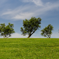 El Marco de impulso de la Economía verde y Circular supera las 300 adhesiones