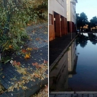 ANA se ceba con Suerte de Saavedra y La Granadilla (Badajoz)