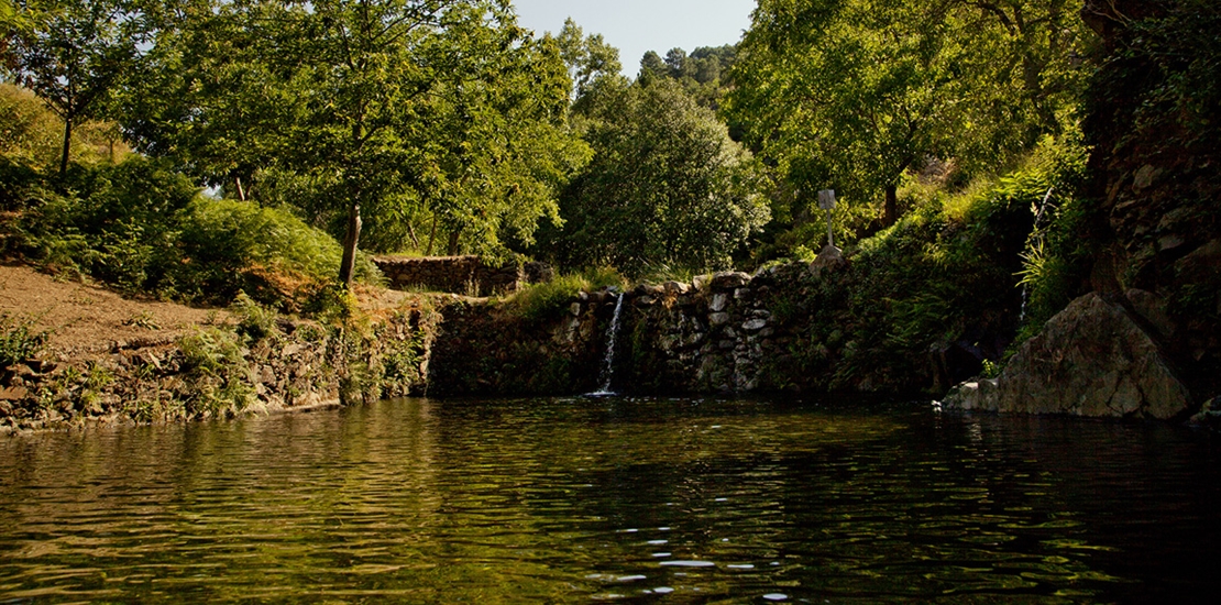 Extremadura apuesta por convertirse en referente internacional en Economía Verde