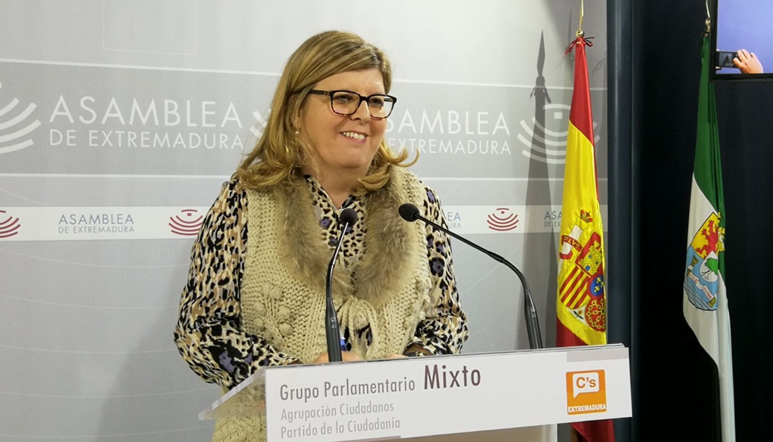 Domínguez: “Es necesario que haya un pleno monográfico sobre la financiación autonómica”