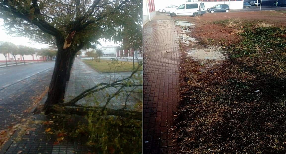 ANA se ceba con Suerte de Saavedra y La Granadilla (Badajoz)