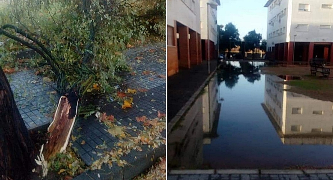 ANA se ceba con Suerte de Saavedra y La Granadilla (Badajoz)