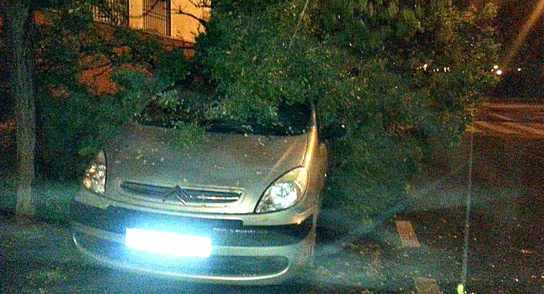 ANA se ceba con Suerte de Saavedra y La Granadilla (Badajoz)