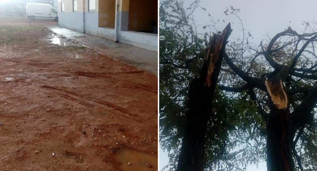 ANA se ceba con Suerte de Saavedra y La Granadilla (Badajoz)