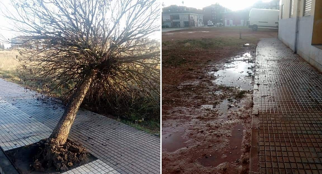 ANA se ceba con Suerte de Saavedra y La Granadilla (Badajoz)