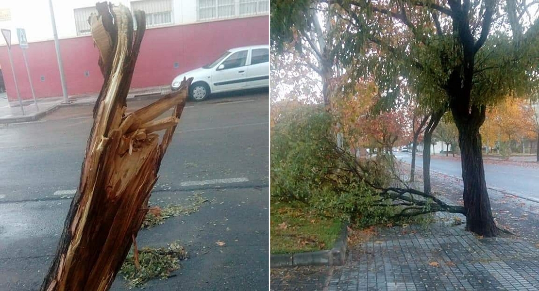 ANA se ceba con Suerte de Saavedra y La Granadilla (Badajoz)