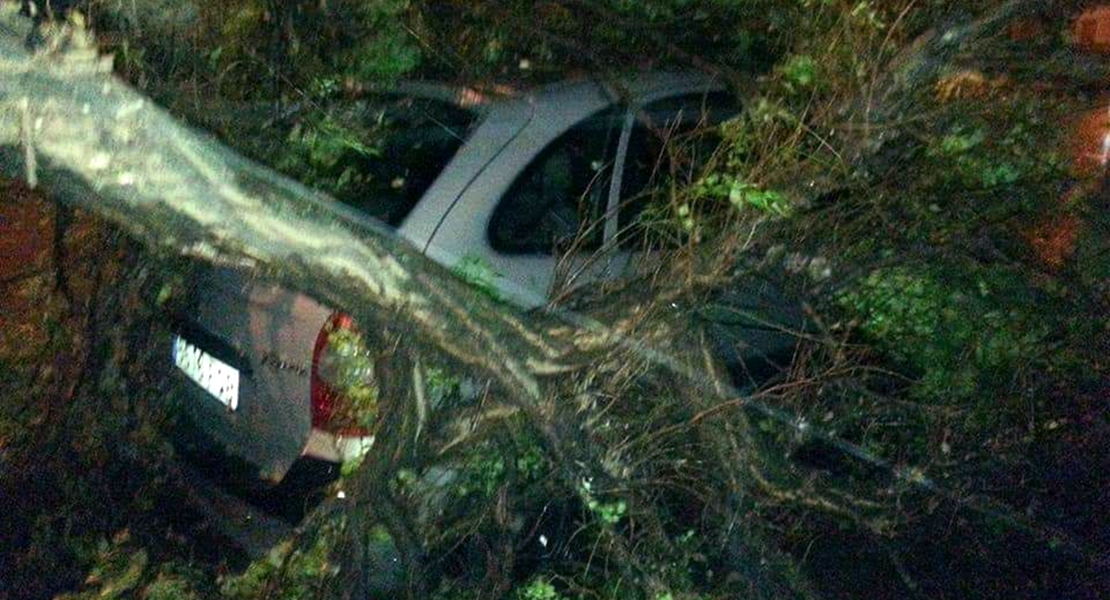 ANA se ceba con Suerte de Saavedra y La Granadilla (Badajoz)