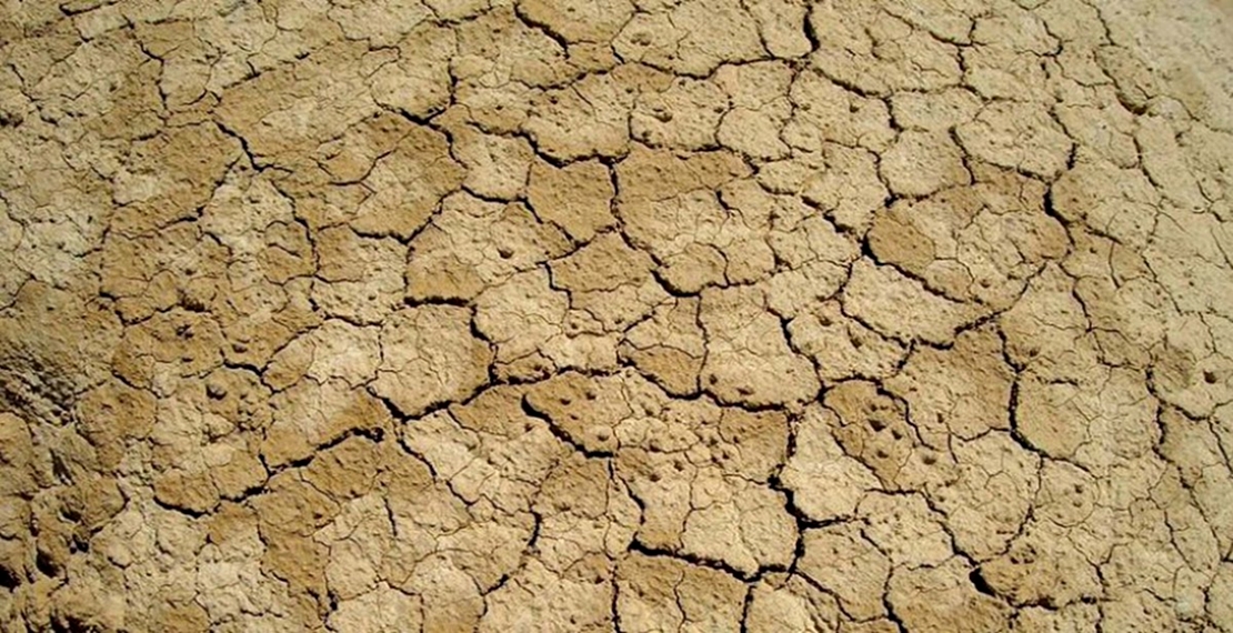 UPA-UCE: Las pérdidas por la sequía superan los 340 millones en Extremadura