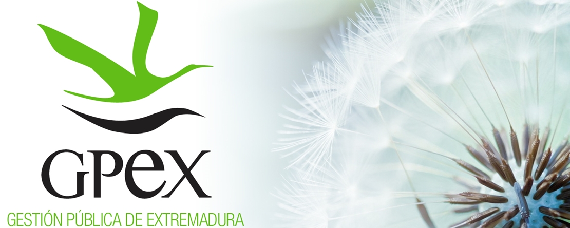 Gestión Pública de Extremadura ofrece dos empleos