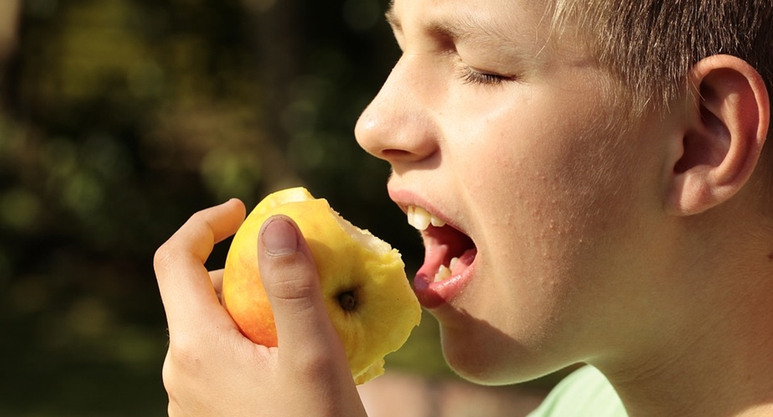 La Junta aprueba ayudas para suministrar frutas a los colegios