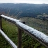 Así nieva en Salvatierra de los Barros