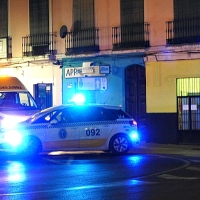 Un repartidor se accidenta en Puerta de Palmas