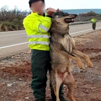 "Esto no debe repetirse", afirma Podemos
