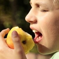 La Junta aprueba ayudas para suministrar frutas a los colegios