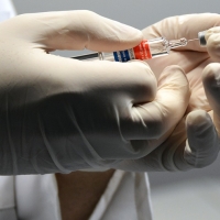 SES: &quot;Calendario unificado ya. Bacterias y virus no entienden de fronteras&quot;