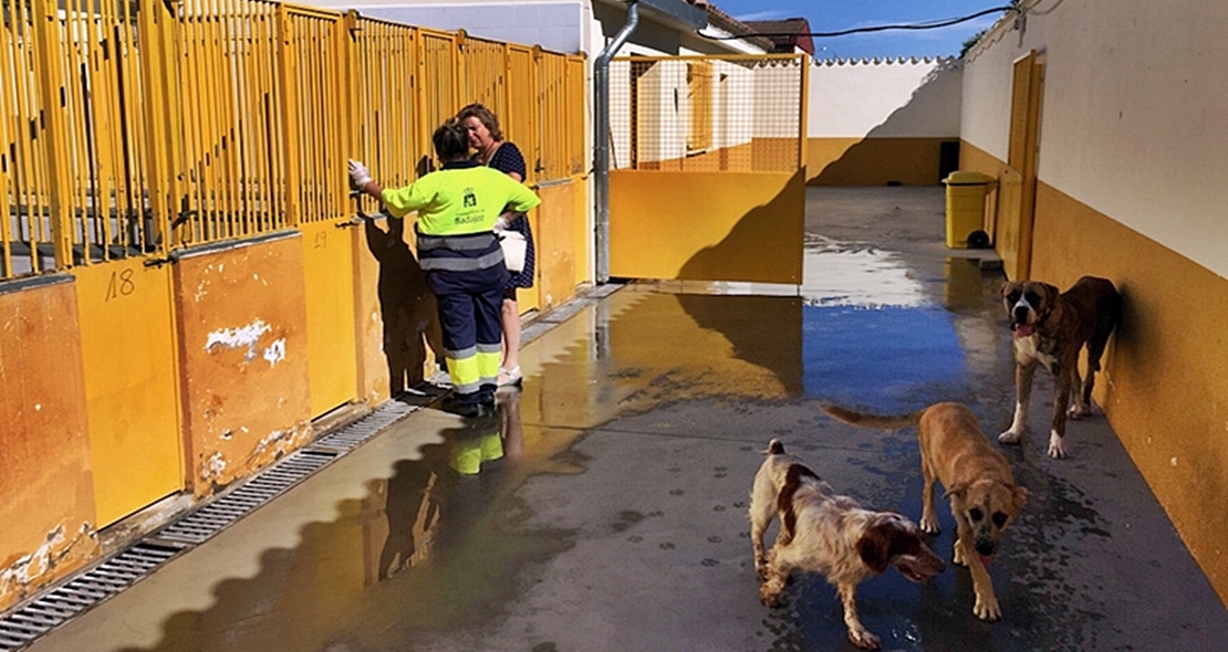 La perrera contará con un espacio para gatos