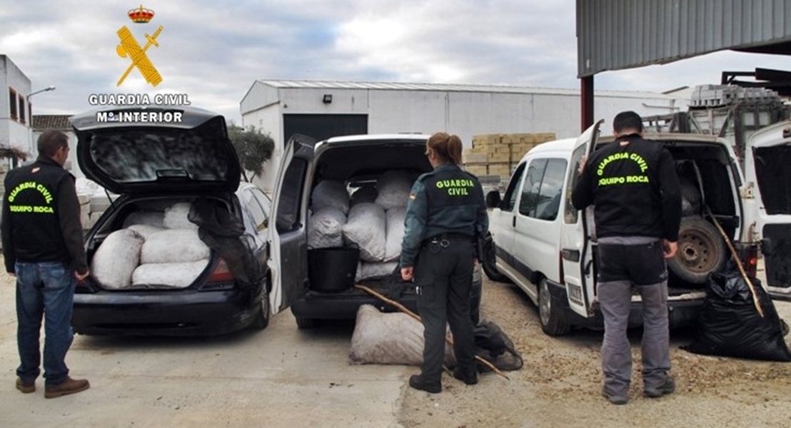 La Guardia Civil desarticula un grupo dedicado al robo de aceitunas