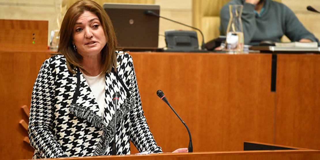 PP: “Es patético que la Junta venda como suyos programas del Ministerio”