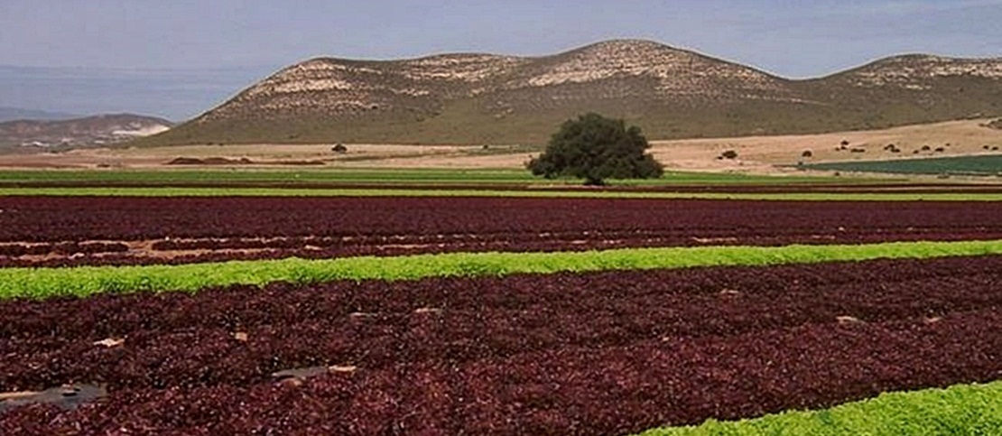 Se amplía el perímetro de la zona regable de ‘Tierra de Barros’