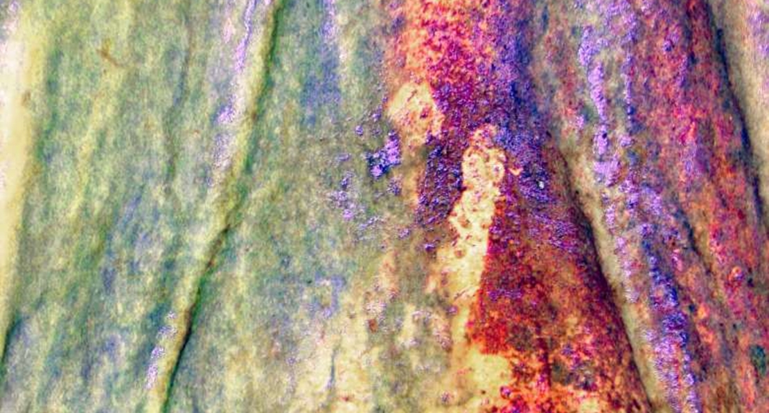 Descubrimiento revolucionario: el arte rupestre nació en Cáceres