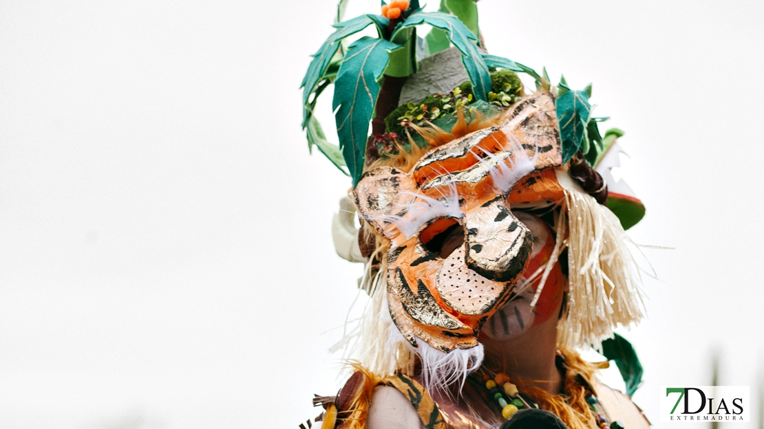 Los mejores primeros planos del Desfile de Comparsas del Carnaval de Badajoz