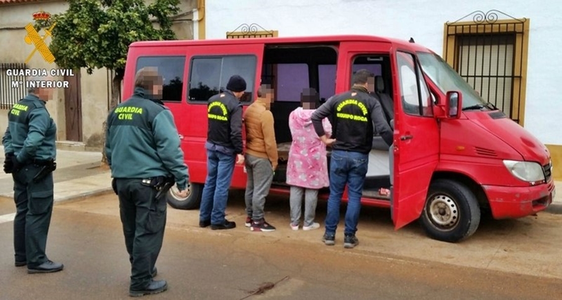 Detenidos tres miembros de una familia por robar 27 toneladas de aceitunas