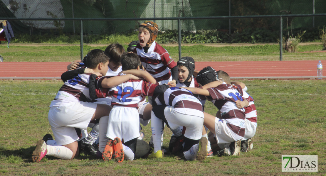 Imágenes de la III Convivencia Internacional de Rugby &#39;Ciudad de Badajoz&#39;