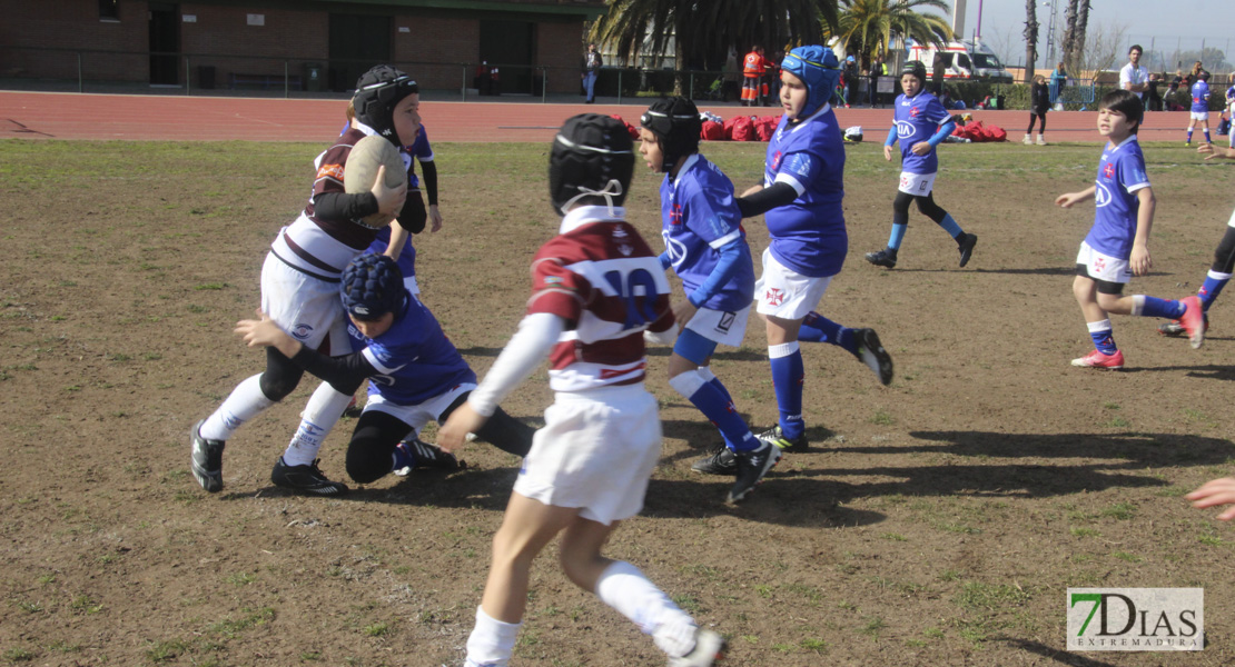 Imágenes de la III Convivencia Internacional de Rugby &#39;Ciudad de Badajoz&#39;