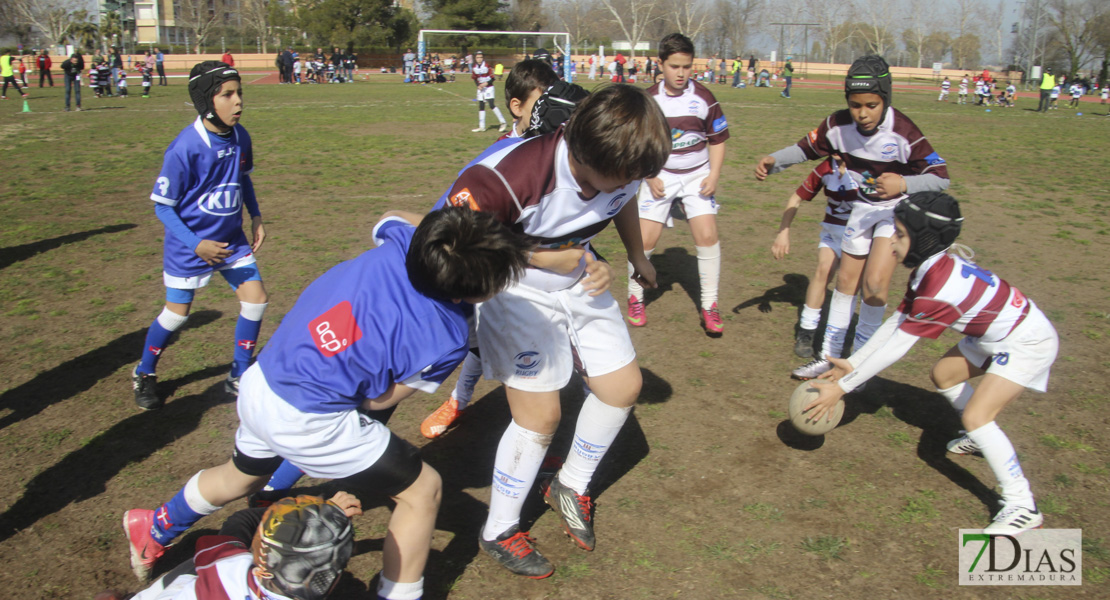 Imágenes de la III Convivencia Internacional de Rugby &#39;Ciudad de Badajoz&#39;