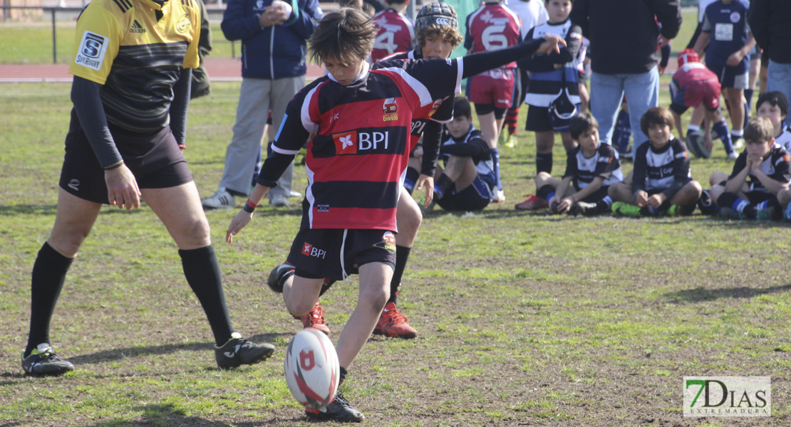 Imágenes de la III Convivencia Internacional de Rugby &#39;Ciudad de Badajoz&#39;