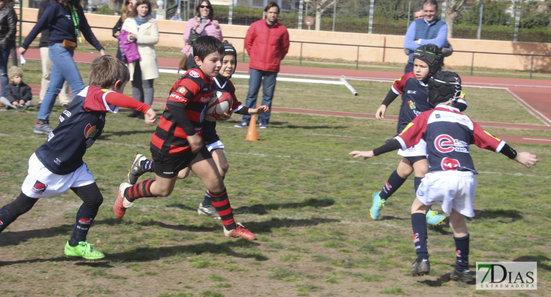 Imágenes de la III Convivencia Internacional de Rugby &#39;Ciudad de Badajoz&#39;