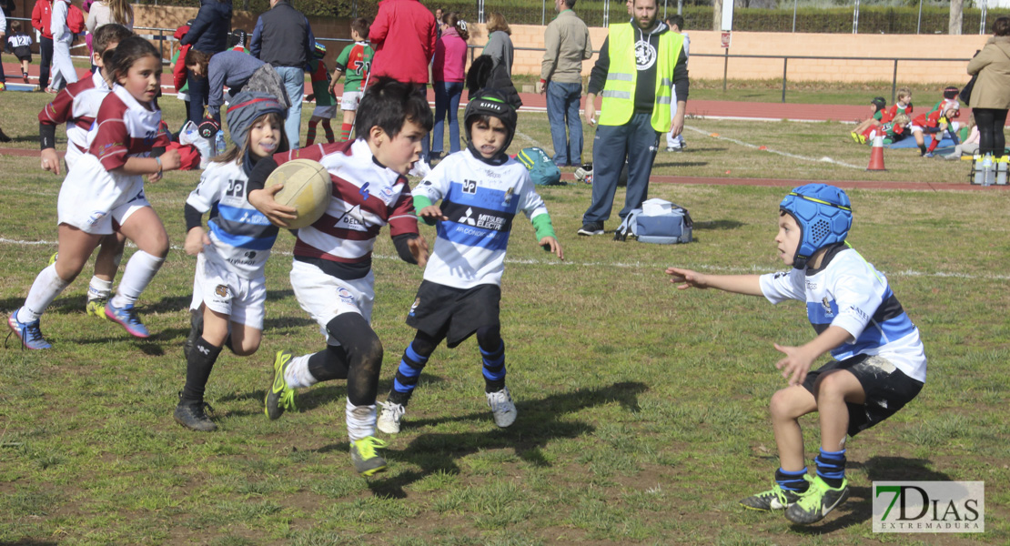 Imágenes de la III Convivencia Internacional de Rugby &#39;Ciudad de Badajoz&#39;