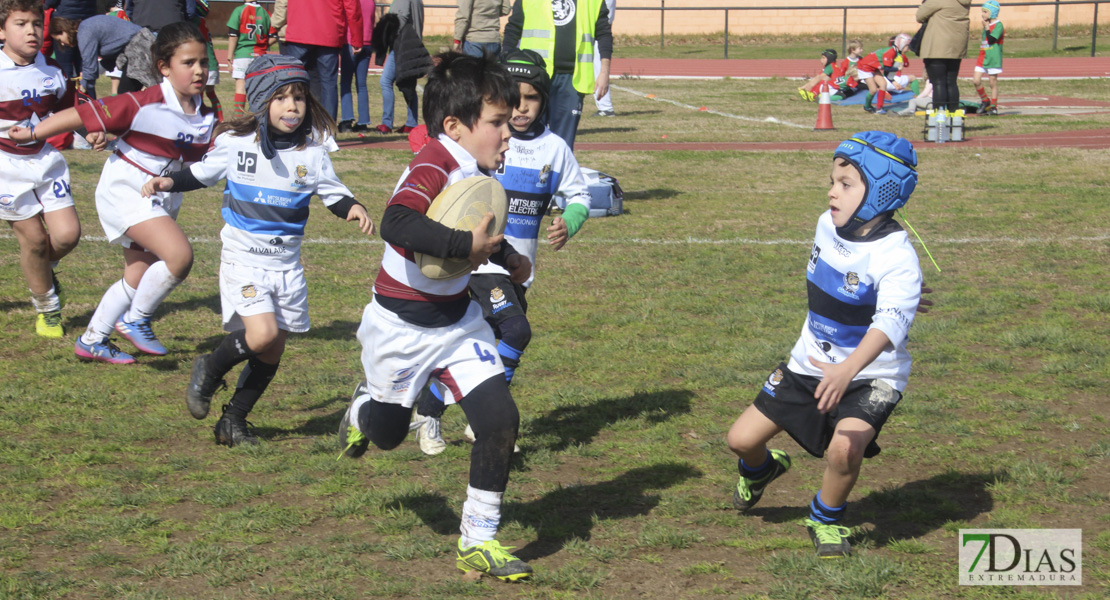 Imágenes de la III Convivencia Internacional de Rugby &#39;Ciudad de Badajoz&#39;