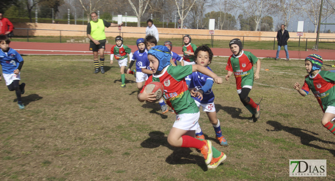 Imágenes de la III Convivencia Internacional de Rugby &#39;Ciudad de Badajoz&#39;