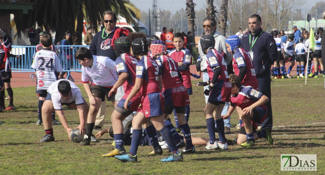 Imágenes de la III Convivencia Internacional de Rugby &#39;Ciudad de Badajoz&#39;