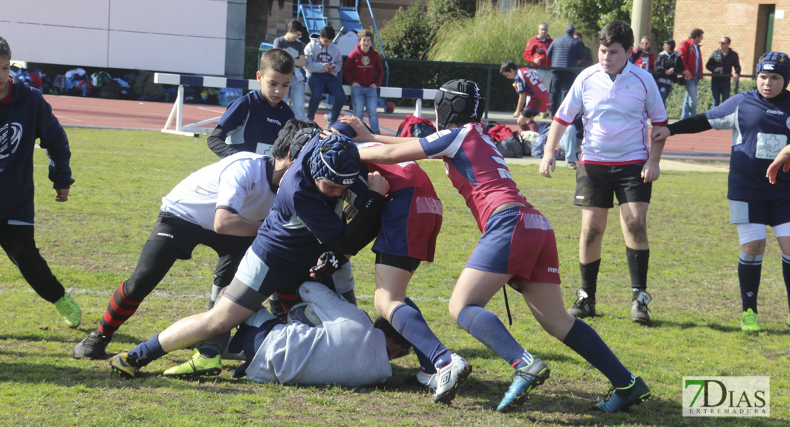 Imágenes de la III Convivencia Internacional de Rugby &#39;Ciudad de Badajoz&#39;