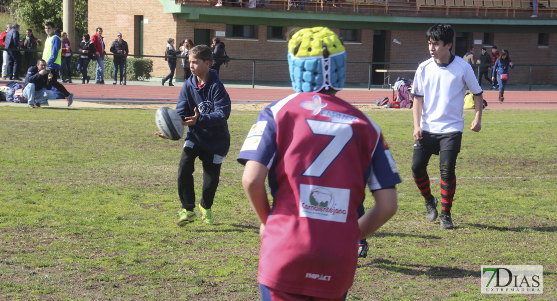 Imágenes de la III Convivencia Internacional de Rugby &#39;Ciudad de Badajoz&#39;
