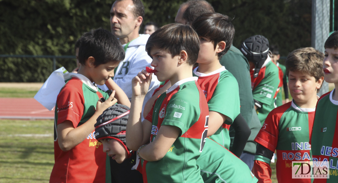 Imágenes de la III Convivencia Internacional de Rugby &#39;Ciudad de Badajoz&#39;