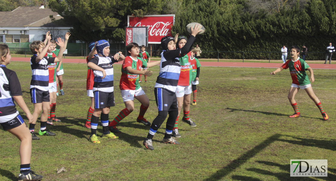 Imágenes de la III Convivencia Internacional de Rugby &#39;Ciudad de Badajoz&#39;