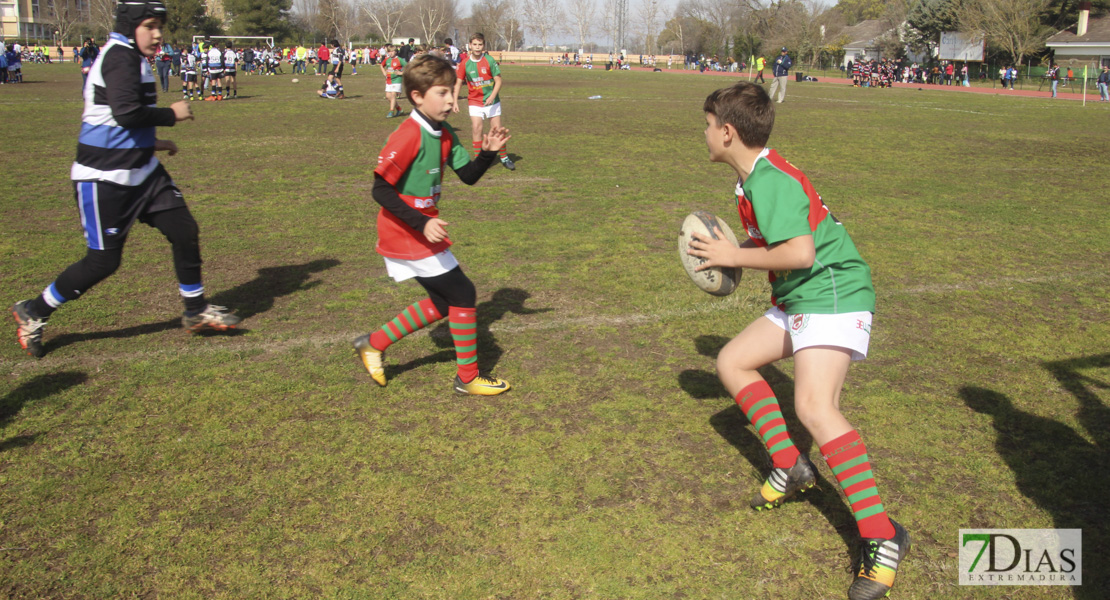 Imágenes de la III Convivencia Internacional de Rugby &#39;Ciudad de Badajoz&#39;