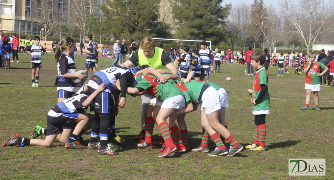 Imágenes de la III Convivencia Internacional de Rugby &#39;Ciudad de Badajoz&#39;