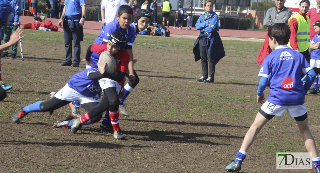 Imágenes de la III Convivencia Internacional de Rugby &#39;Ciudad de Badajoz&#39;