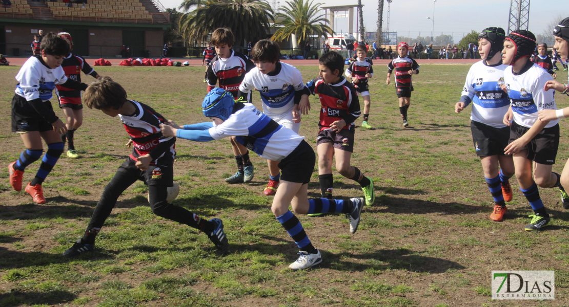 Imágenes de la III Convivencia Internacional de Rugby &#39;Ciudad de Badajoz&#39;