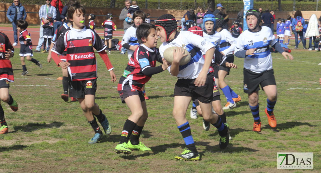 Imágenes de la III Convivencia Internacional de Rugby &#39;Ciudad de Badajoz&#39;