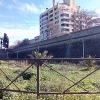 La Asociación Cívica denuncia el abandono del foso junto a Puerta de Palmas