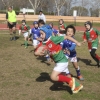 Imágenes de la III Convivencia Internacional de Rugby &#39;Ciudad de Badajoz&#39;