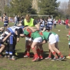 Imágenes de la III Convivencia Internacional de Rugby &#39;Ciudad de Badajoz&#39;