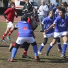 Imágenes de la III Convivencia Internacional de Rugby &#39;Ciudad de Badajoz&#39;