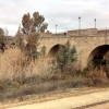 &quot;Los eucaliptos están poniendo en peligro el Puente de Palmas&quot;